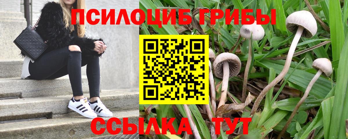 Псилоцибиновые грибы Cubensis  Вход с VPN  Бузулук  купить   Псилоцибиновые грибы Magic Shrooms 