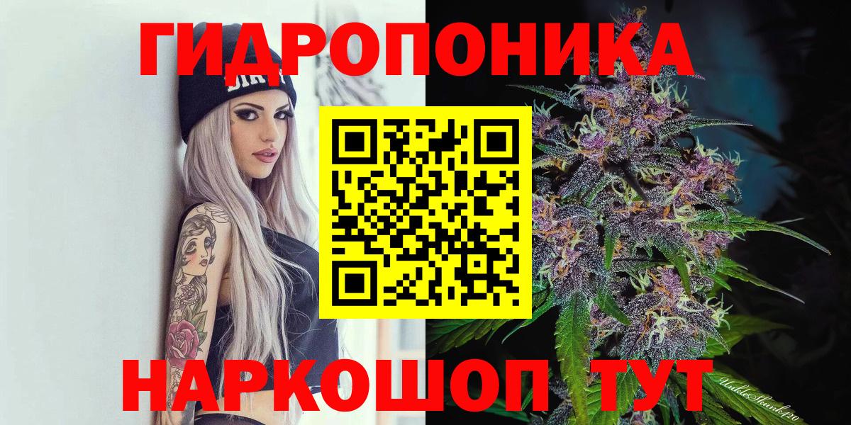Бошки Шишки семена Бузулук